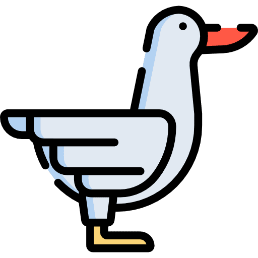 Duck wild life bird animal kingdom icon