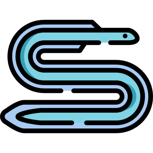 Eel sea life animal animals icon