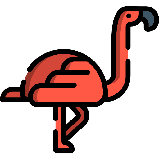 Flamingo animal animal kingdom zoo icon