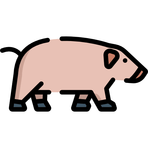Pig wildlife pig animal icon