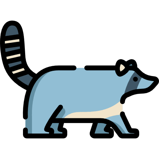 Racoon animal kingdom racoon zoo icon