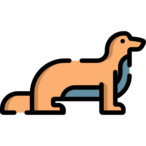 Animals animal otter zoo icon