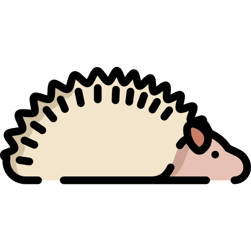 Hedgehog animal kingdom animals zoo icon