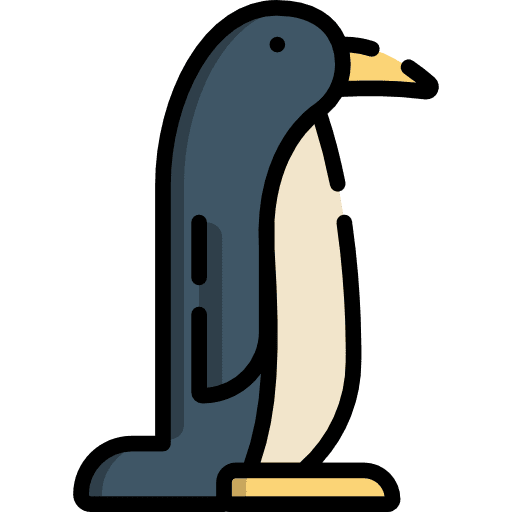 Penguin zoo animal kingdom animal icon