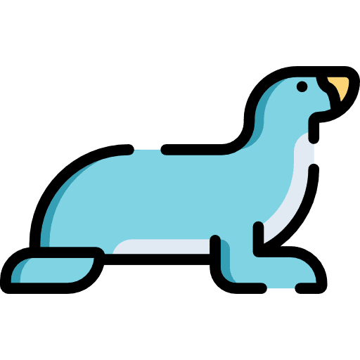 Sea lion animal wildlife nature icon