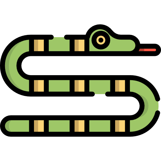 Snake animal animal kingdom zoo icon