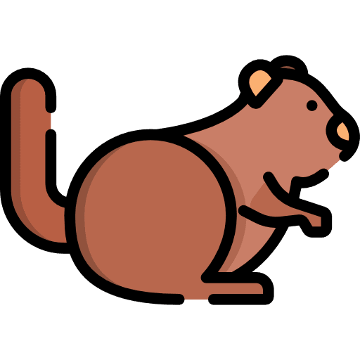 Squirrel zoo animal kingdom animals icon