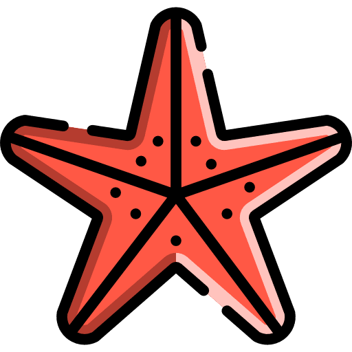 Starfish aquatic ocean animals icon