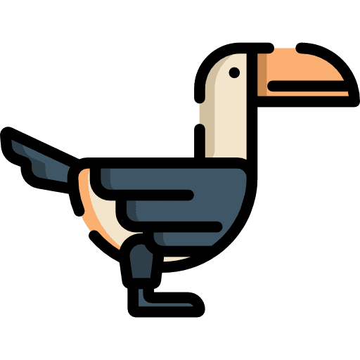 Toucan animal animal kingdom bird icon