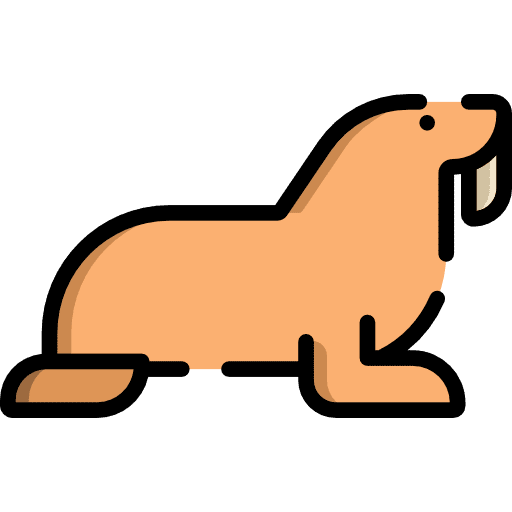 Walrus walrus animal wild life icon