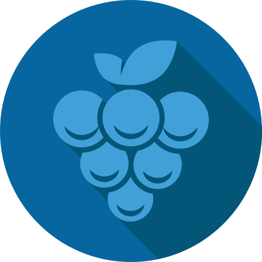 Grape communication brands and logotypes chat icon Grape communication brands and logotypes chat icon