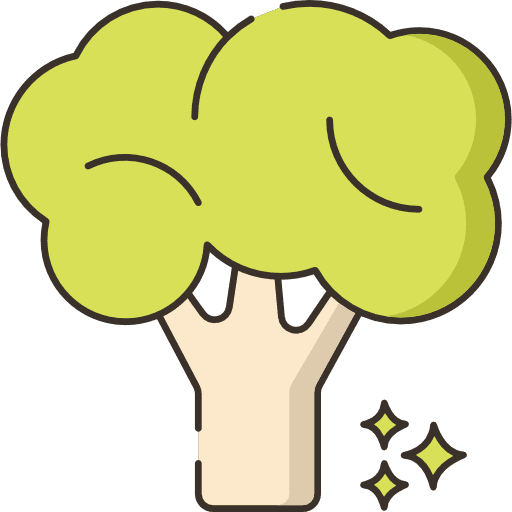 Broccoli food and restaurant vegetable food icon