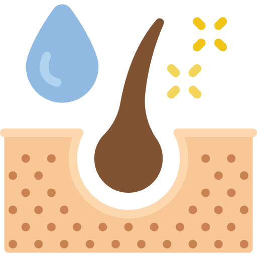 Dermis organ healthcare and medical follicle icon