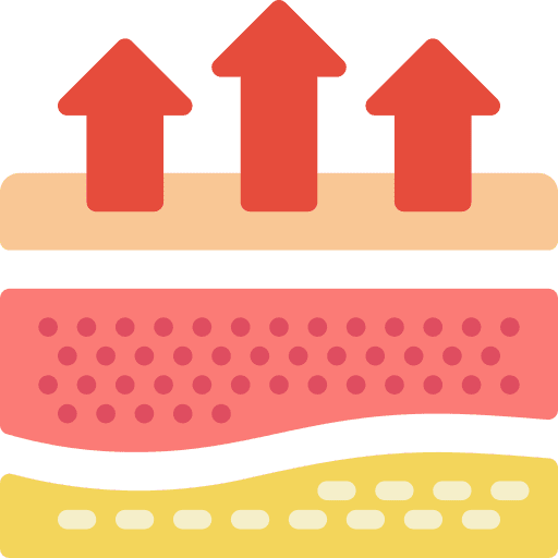 Dermis dermatology dermis skin icon