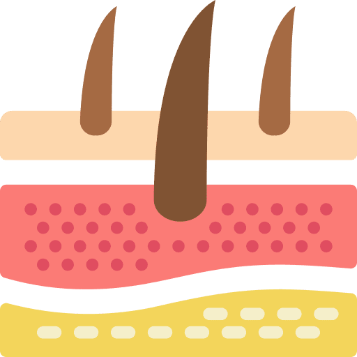 Dermis hair dermatology skin icon