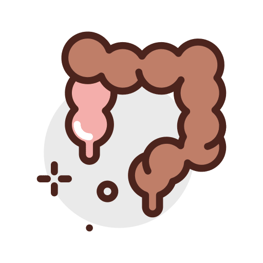 Colon body part large intestine intestine icon