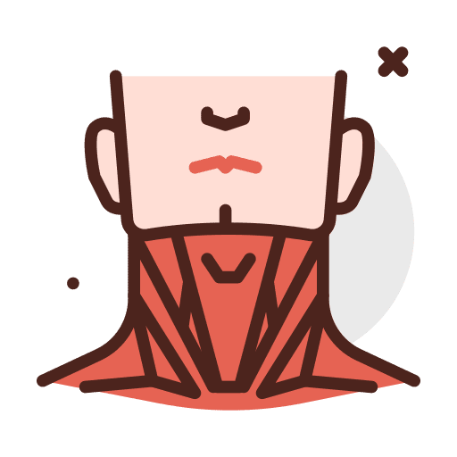 Neck muscles neck anatomy icon