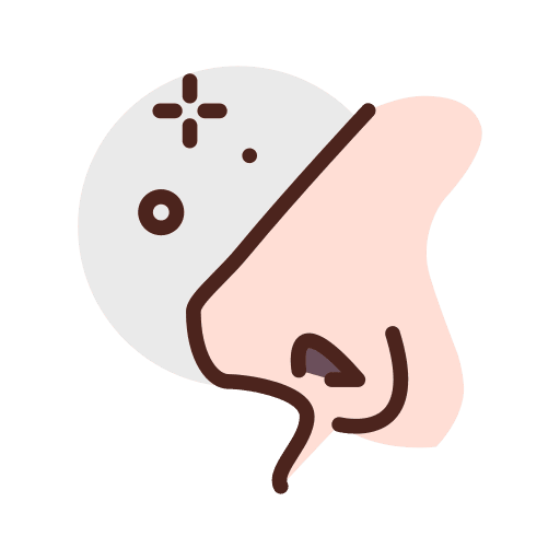 Nose anatomy healthcare and medical nose icon