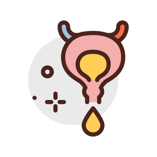 Bladder urinary body bladder icon Bladder urinary body bladder icon