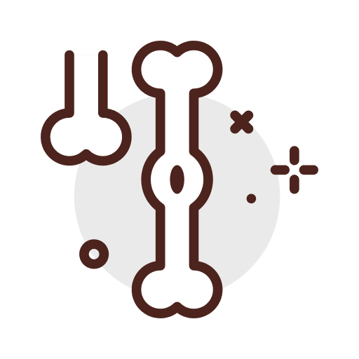 Bones healthcare and medical bones body parts icon Bones healthcare and medical bones body parts icon
