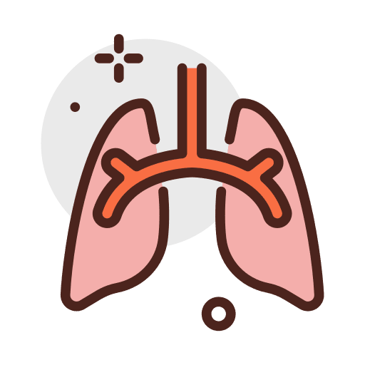 Lungs anatomy organ healthcare and medical icon Lungs anatomy organ healthcare and medical icon
