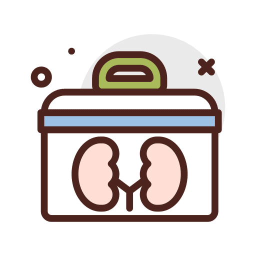 Organ donation organ donation case stomach icon Organ donation organ donation case stomach icon