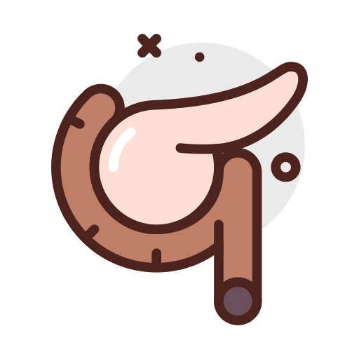 Pancreas body organ healthcare and medical human body icon Pancreas body organ healthcare and medical human body icon