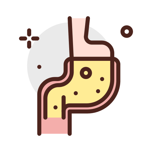 Stomach anatomy body parts stomach icon Stomach anatomy body parts stomach icon