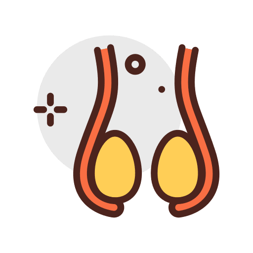 Testicles balls anatomy body icon Testicles balls anatomy body icon