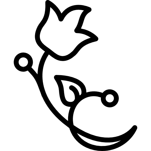 Floral design of one flower on a branch with two seeds and one leaf branch design flowers icon