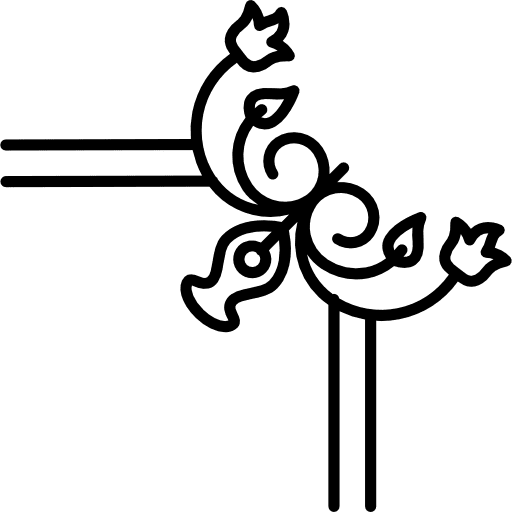 Flower border design flower flower border flower design icon