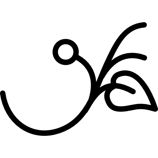 Branch with a leaf and a seed branches seed floral design icon