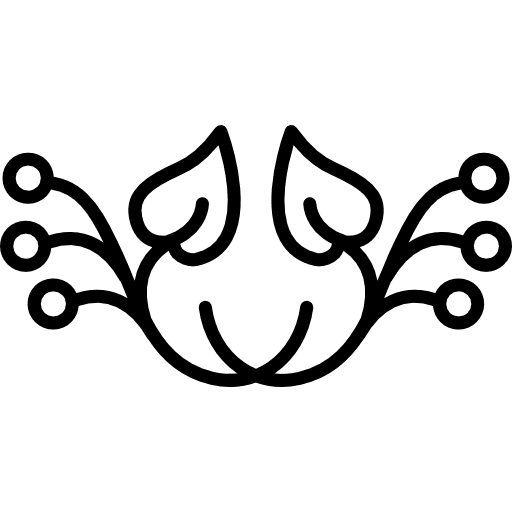 Floral design of horizontal symmetry floral design leaves seeds icon