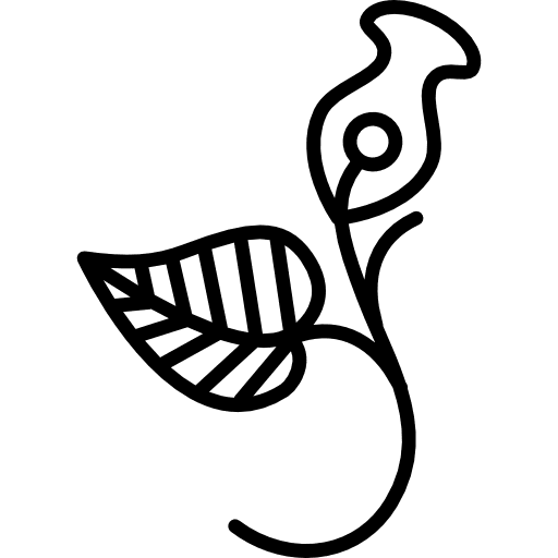 One flower and one leaf on a branch one floral design leaf icon