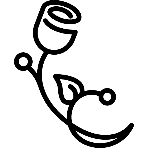 Floral design like a closed rose with thin branch nature floral closed icon