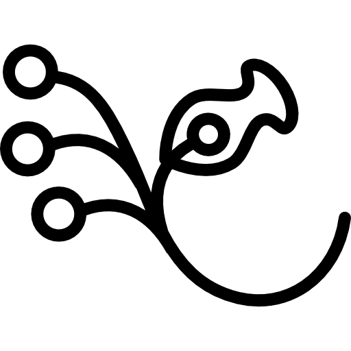 Flower on a branch with three seeds design nature floral design icon