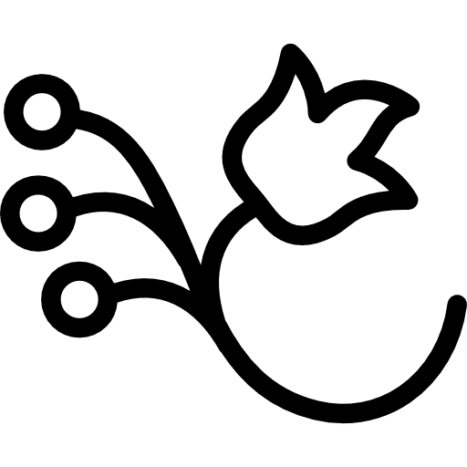 Flower on a branch with three seeds nature floral design flower icon