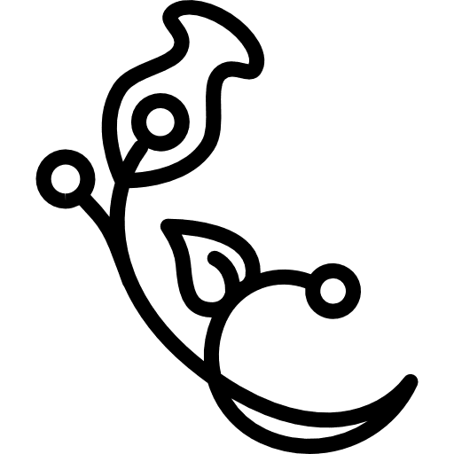 Natural branch with flower seeds and leaf seeds branches ornamental icon