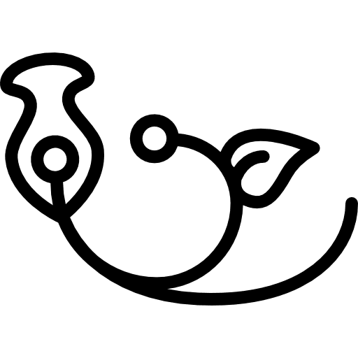 One branch with one flower one seed and one leaf flower branch seed icon