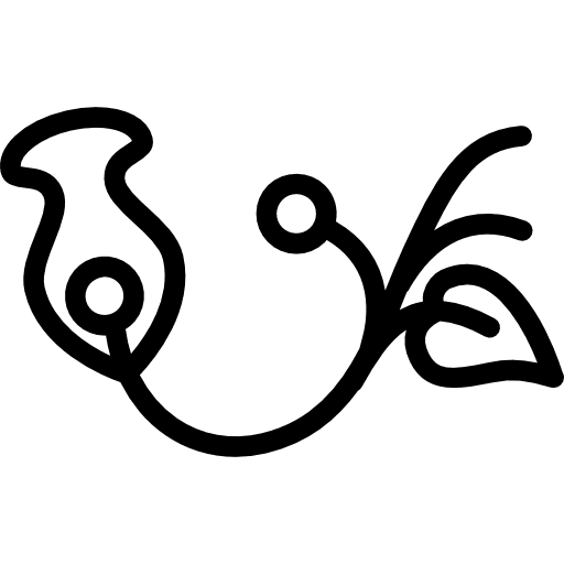 One flower floral design nature flowers decorative icon