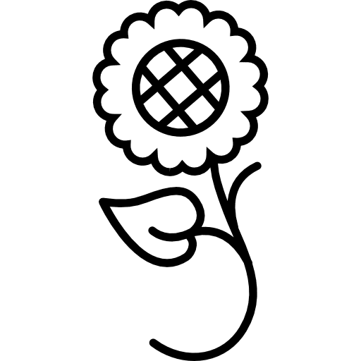 Sunflower variant with leaves and vines nature flower floral icon