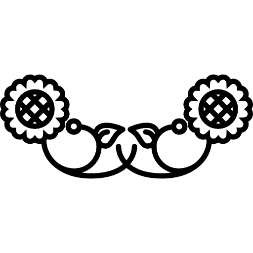 Two flowers symmetry two symmetrical double icon