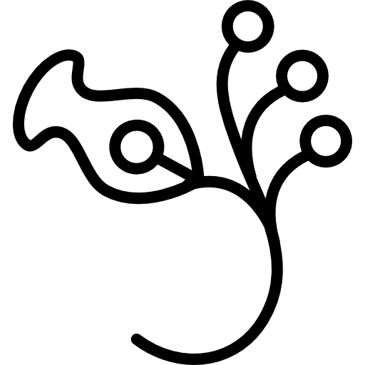 One flower flowers natural shapes buds icon