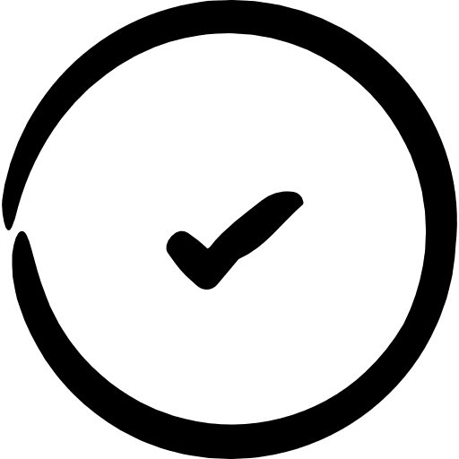 Checked success checked ideal icon