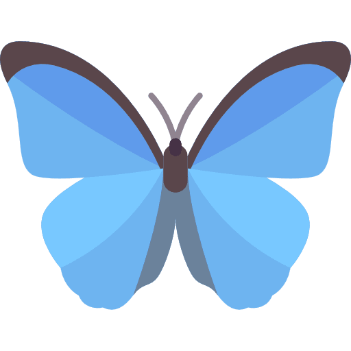 Butterfly blue animals butterfly icon
