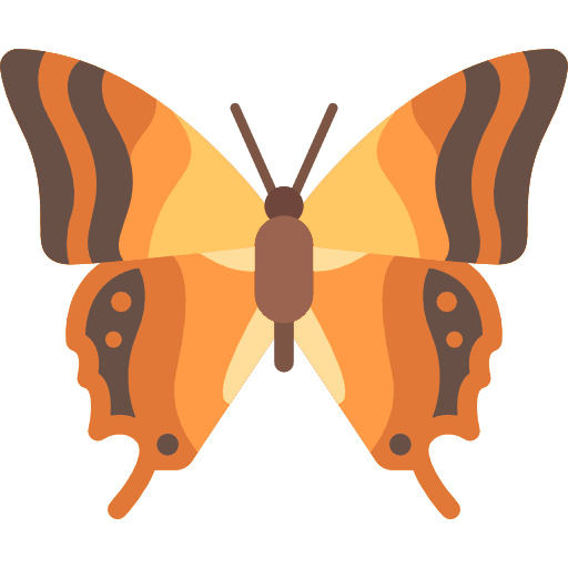 Butterfly butterfly moths animals icon