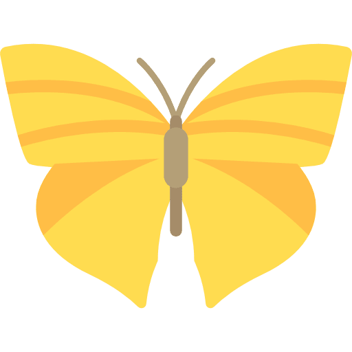 Butterfly animals butterfly insect icon Butterfly animals butterfly insect icon