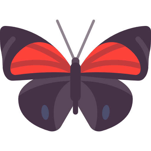 Butterfly animals butterfly insect icon Butterfly animals butterfly insect icon