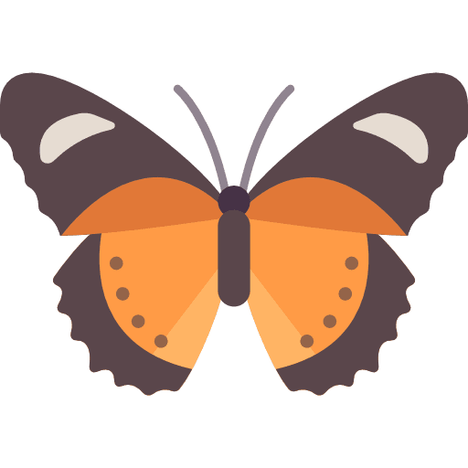 Butterfly animals insect butterfly icon