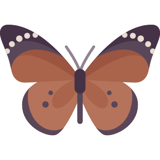 Butterfly animals insect moths icon Butterfly animals insect moths icon